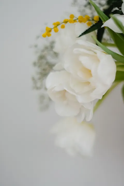 White Blooms Phone Wallpaper · petals · 1440×2160