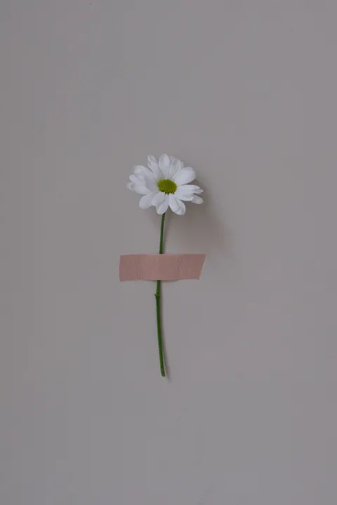 White Blooms Phone Wallpaper · petals · 1440×2160