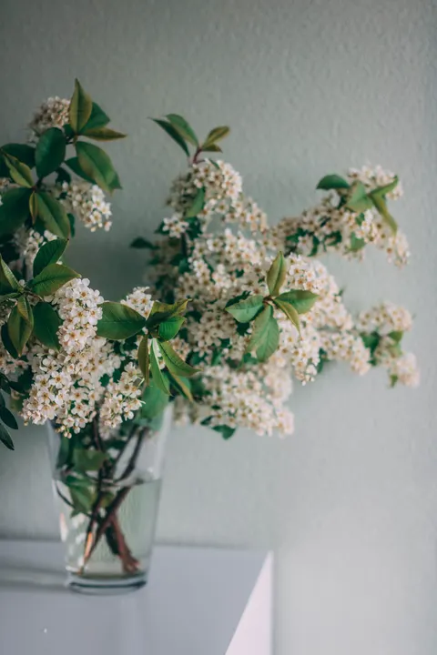 White Blooms Phone Wallpaper · petals · 1440×2160