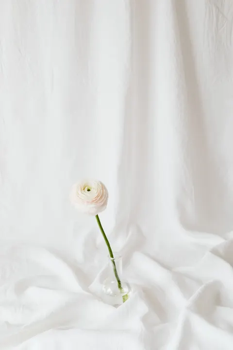 White Blooms Phone Wallpaper · petals · 1440×2160