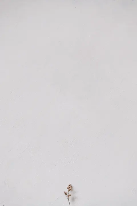 White Blooms Phone Wallpaper · petals · 1440×2160