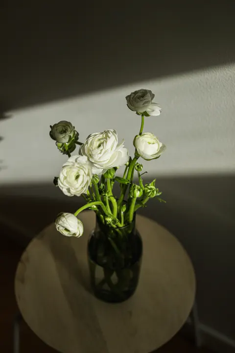 White Blooms Phone Wallpaper · petals · 1440×2160