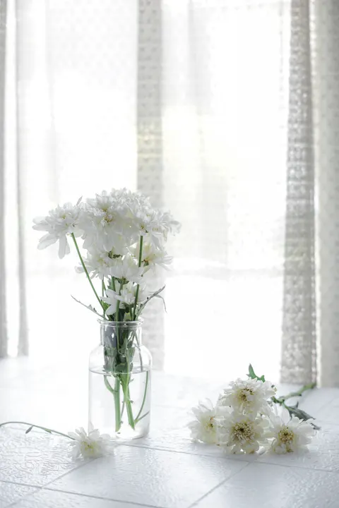 White Blooms Phone Wallpaper · petals · 1440×2160