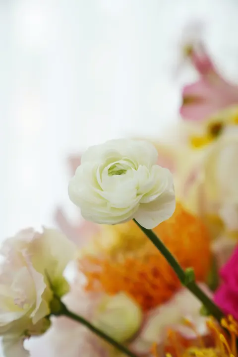 Petals Phone Wallpaper · petals · 1440×2160