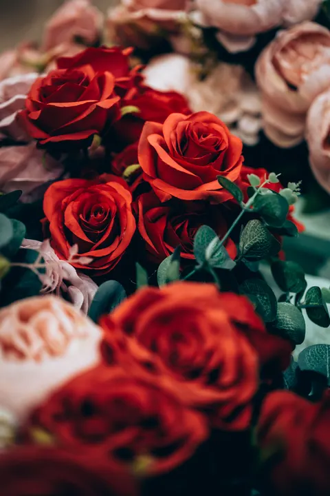 Rose Petals Phone Wallpaper · petals · 1440×2160