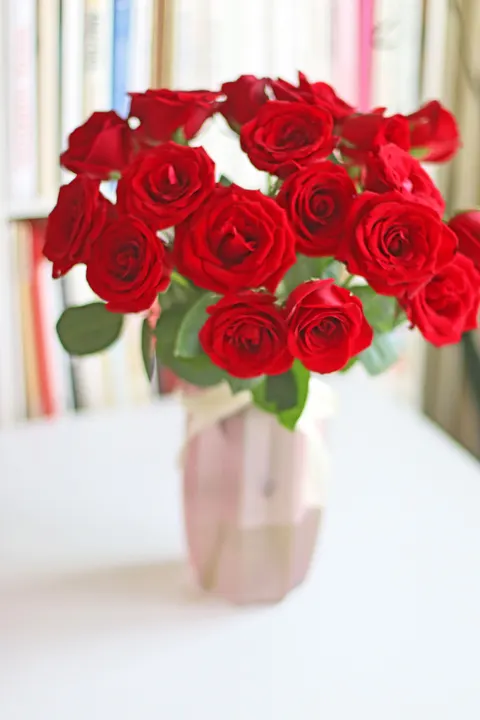 Rose Petals Phone Wallpaper · petals · 1440×2160