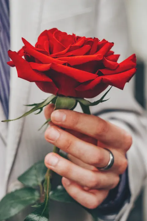 Rose Petals Phone Wallpaper · petals · 1440×2160