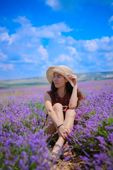 Lavender Phone Wallpaper · petals · 1440×2160