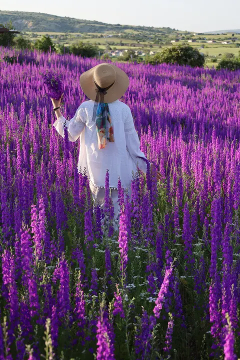 Lavender Phone Wallpaper · petals · 1440×2160