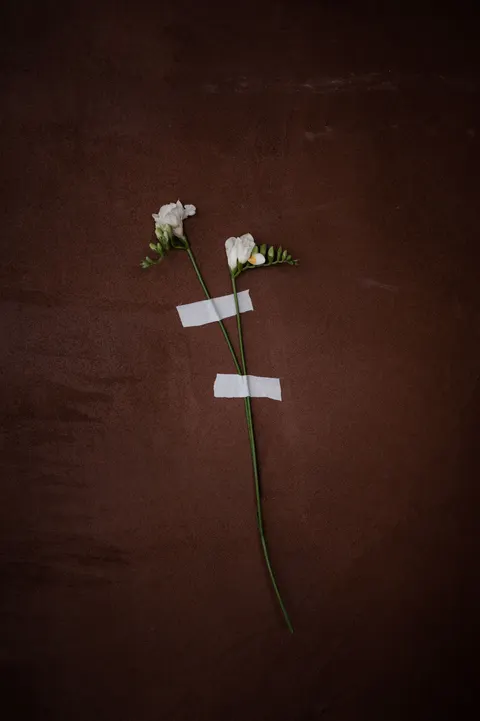 White Blooms Phone Wallpaper · petals · 1440×2164