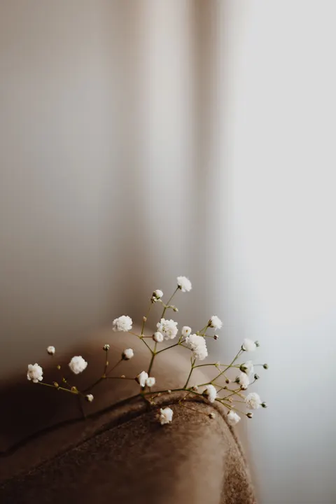 白色花朵 手机壁纸 · petals · 1440×2160