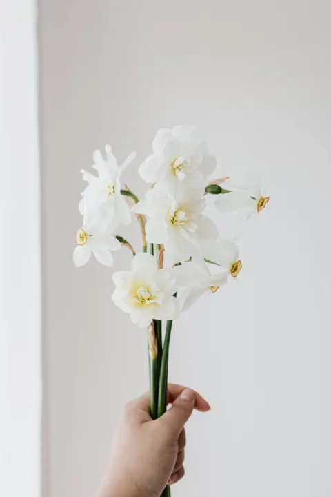 White Blooms Phone Wallpaper · petals · 1440×2160