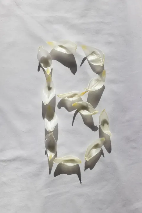 White Blooms Phone Wallpaper · petals · 1440×2159