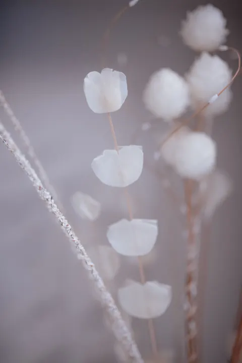 Weiße Blüten Handy-Hintergrundbild · petals · 1440×2157