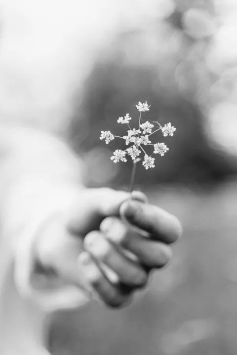 White Blooms Phone Wallpaper · petals · 1440×2159