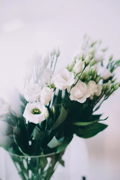 White Blooms Phone Wallpaper · petals · 1440×2160