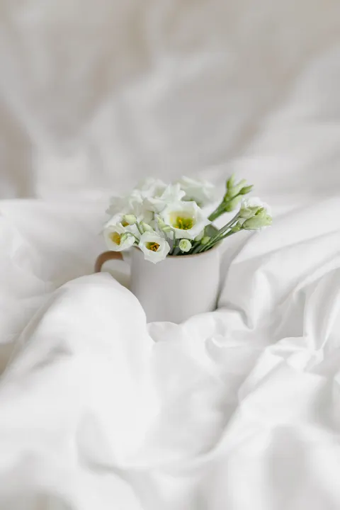 White Blooms Phone Wallpaper · petals · 1440×2160
