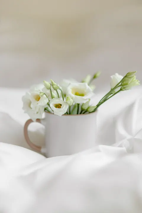 White Blooms Phone Wallpaper · petals · 1440×2160