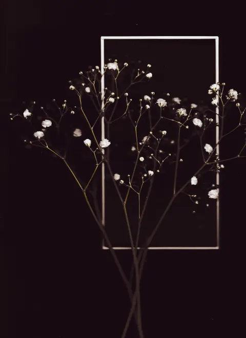 White Blooms Phone Wallpaper · petals · 1440×1979