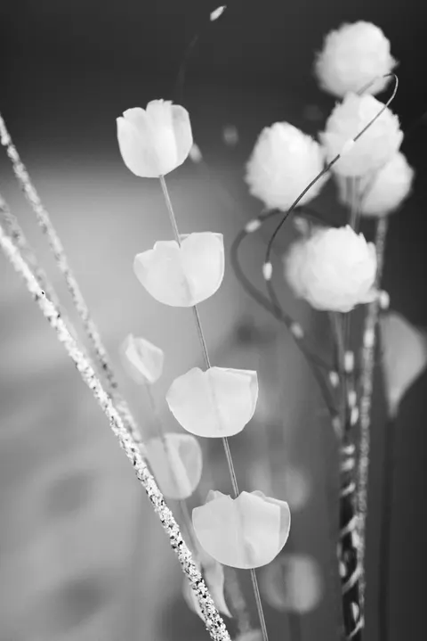 White Blooms Phone Wallpaper · petals · 1440×2157