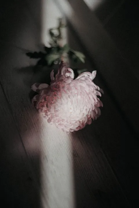 Petals Phone Wallpaper · petals · 1440×2157