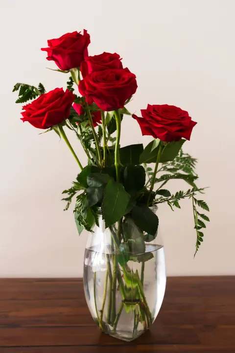 Rose Petals Phone Wallpaper · petals · 1440×2159