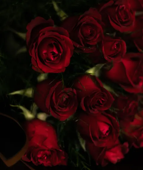 Rose Petals Phone Wallpaper · petals · 1440×1717