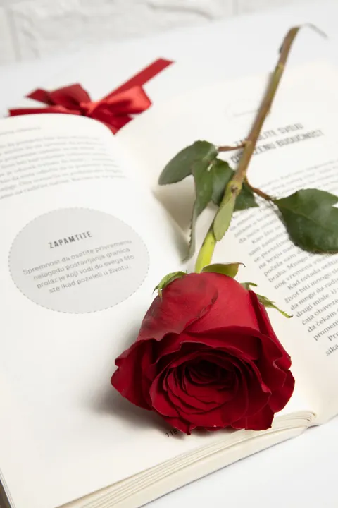 Rose Petals Phone Wallpaper · petals · 1440×2160