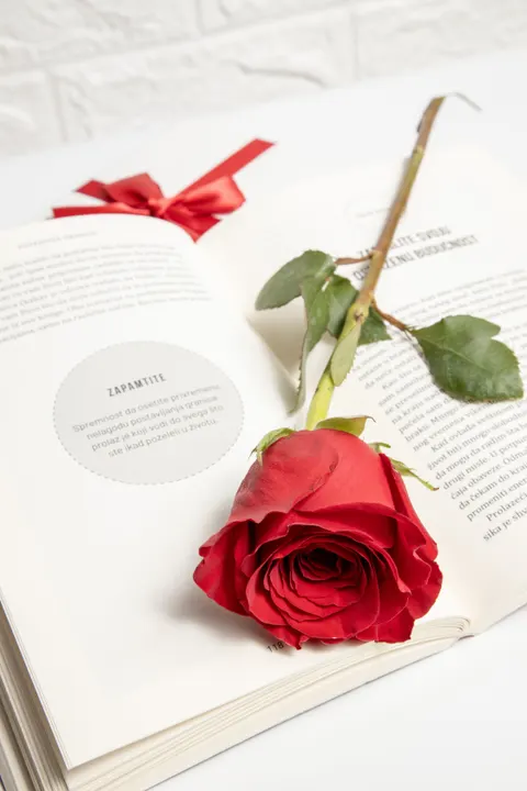 Rose Petals Phone Wallpaper · petals · 1440×2160