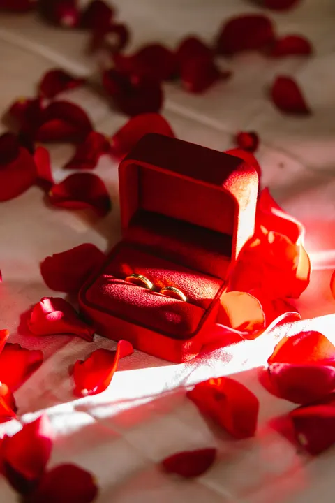 Rose Petals Phone Wallpaper · petals · 1440×2160