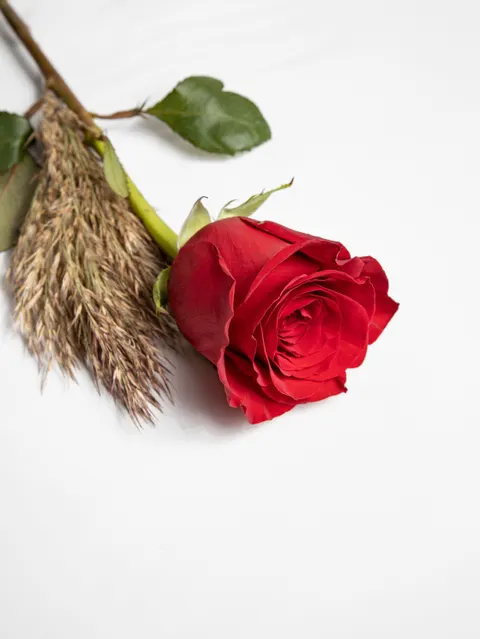 Rose Petals Phone Wallpaper · petals · 1440×1920
