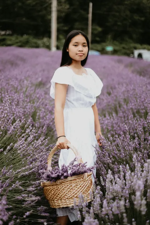 Lavender Phone Wallpaper · petals · 1440×2160