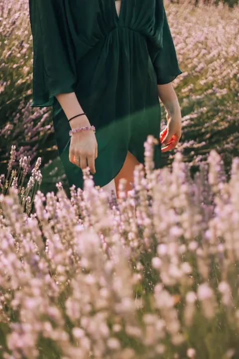 Lavender Phone Wallpaper · petals · 1440×2160