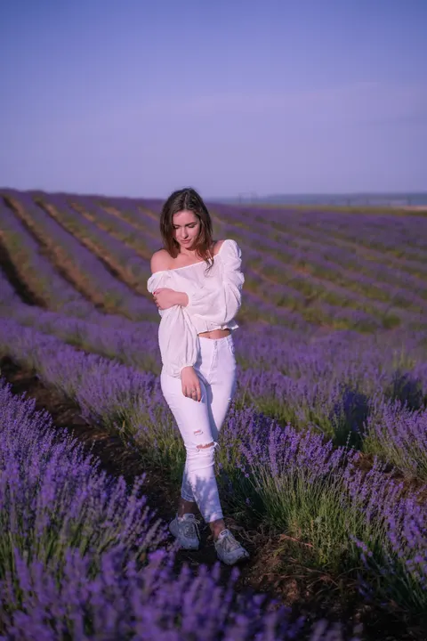 Lavender Phone Wallpaper · petals · 1440×2160