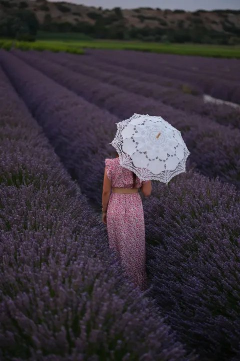 Lavender Phone Wallpaper · petals · 1440×2160