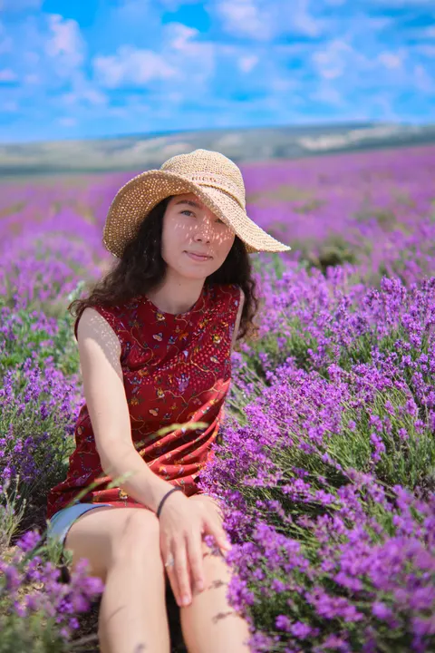 Lavender Phone Wallpaper · petals · 1440×2160