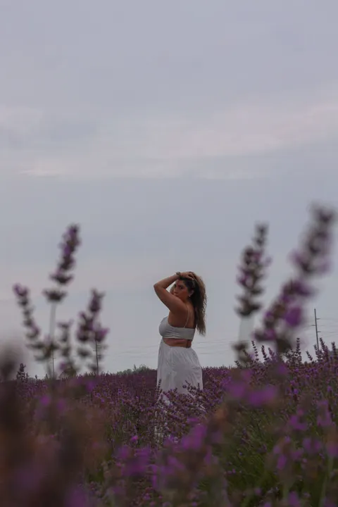 Lavender Phone Wallpaper · petals · 1440×2160