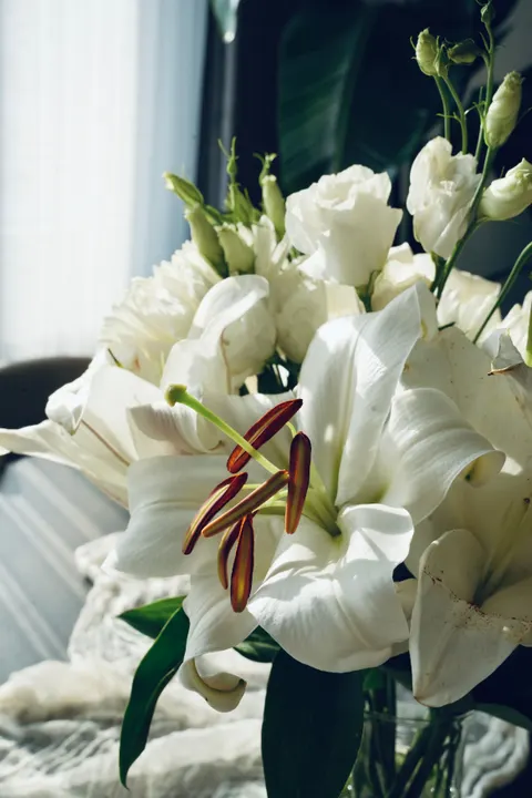 White Blooms Phone Wallpaper · petals · 1440×2160