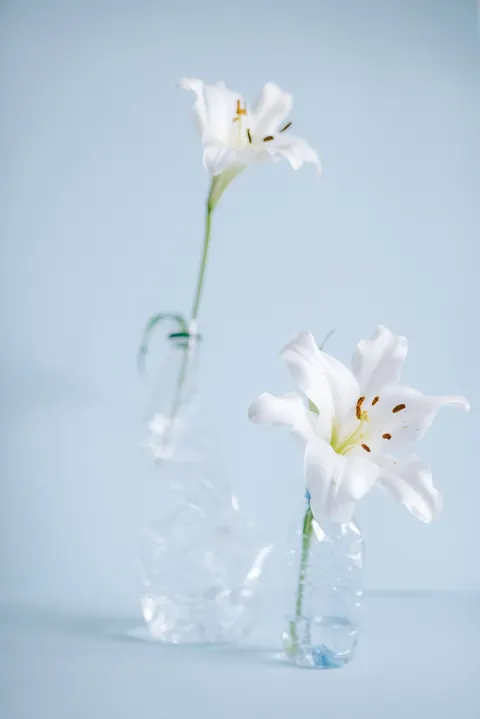 White Blooms Phone Wallpaper · petals · 1440×2157