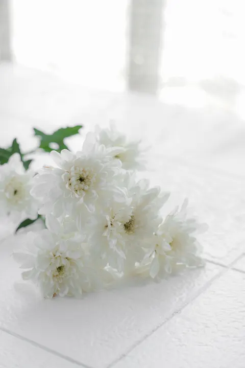 White Blooms Phone Wallpaper · petals · 1440×2160