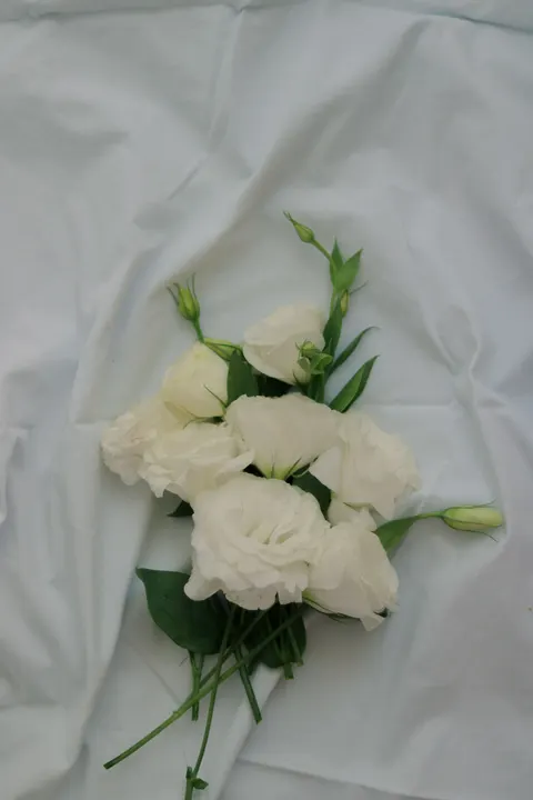 White Blooms Phone Wallpaper · petals · 1440×2160