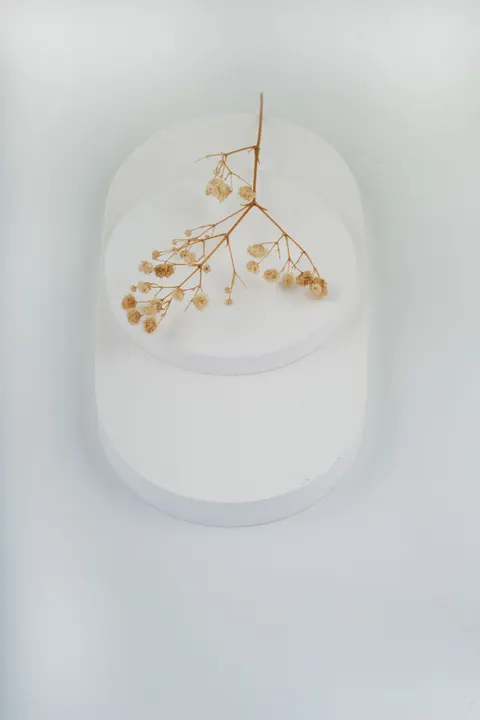 White Blooms Phone Wallpaper · petals · 1440×2160