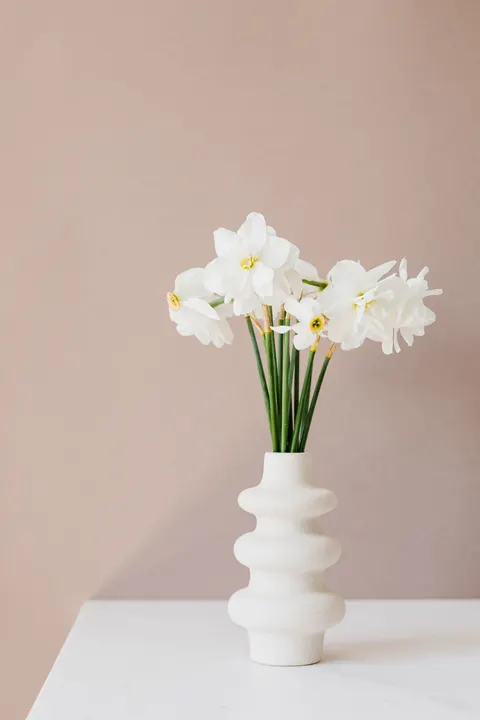 White Blooms Phone Wallpaper · petals · 1440×2160