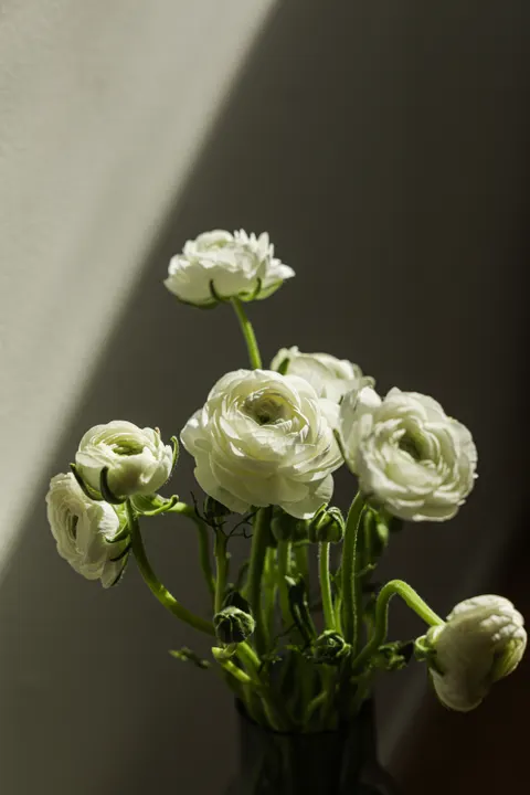 White Blooms Phone Wallpaper · petals · 1440×2160