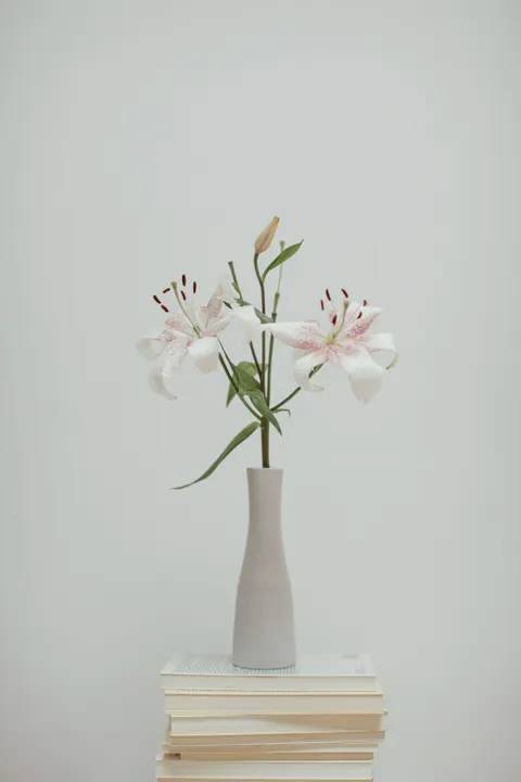 White Blooms Phone Wallpaper · petals · 1440×2160