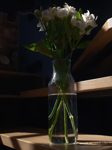 Hoa Trắng Nở Rộ Hình Nền Điện Thoại · petals · 1440×1918