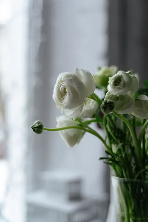 White Blooms Phone Wallpaper · petals · 1440×2160