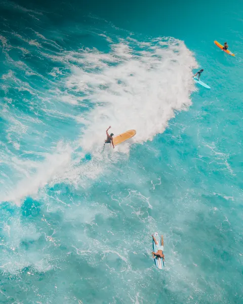Fond d'écran mobile Surf · sport · 1440×1800