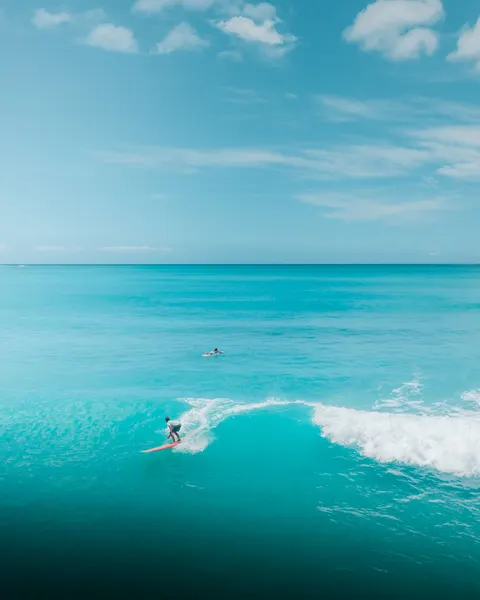 Surfing Phone Wallpaper · sport · 1440×1800