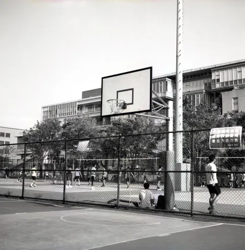 Basketball Phone Wallpaper · sport · 1440×1465